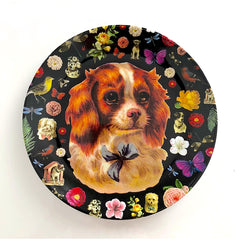 Cavalier King Charles Accent Plates